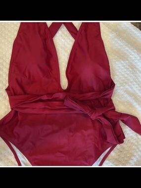 Plunge One-Piece Swimsuit in Deep Berry